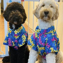 Goldendoodle and Poodle All Grown Up from Colorful Creations Doodles and Poodles