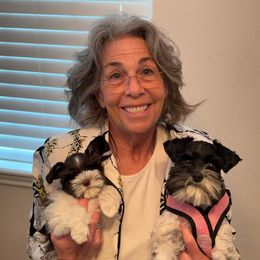 Miniature Schnauzer Puppies from Von Baron Schnauzers