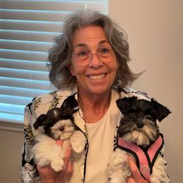 Miniature Schnauzer Puppies from Von Baron Schnauzers