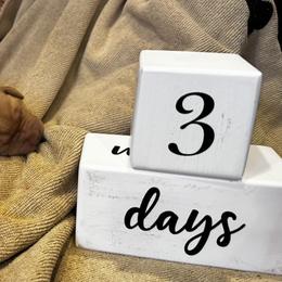 Yellow - Yellow female Labrador Retriever puppy in La Plata, Maryland from DeVoy Country Labs