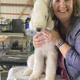 Nicky - Bedlington Terrier