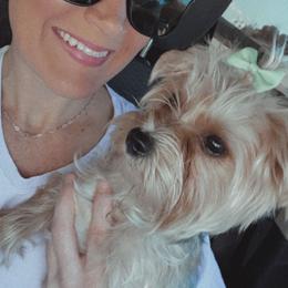 Sasha - Yorkshire Terrier
