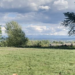 Double Doodle Puppies from Riverside Doodles in Seattle