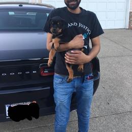 "A litter pup with new family" Rottweiler Puppies from VHWilliamsRottweilers