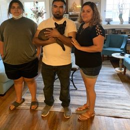 Belgian Malinois, Bull Terrier, and Dutch Shepherd Puppies from ROSC K9