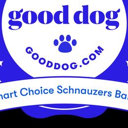 Miniature Schnauzers from 1 Smart Schnauzers babies