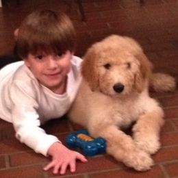 Double Doodle, Goldendoodle, and Labradoodle Puppies from Dixie Magnolia Doodles