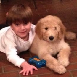 Double Doodle, Goldendoodle, and Labradoodle Puppies from Dixie Magnolia Doodles