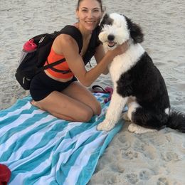 Bernedoodle, Bernese Mountain Dog, and Sheepadoodle All Grown Up from VonDoodles Bernedoodles & Sheepadoodles