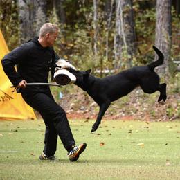 German Shepherds from Vom Blauberge German Shepherds