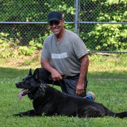 Apollo - German Shepherd