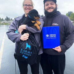 Rottweiler Puppies from KarmaKennelPNW