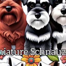Miniature Schnauzers from Michael's Minis