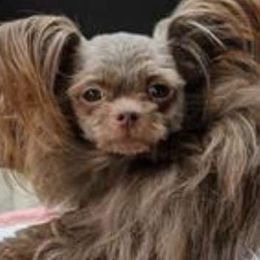 Remi - Mi-Ki