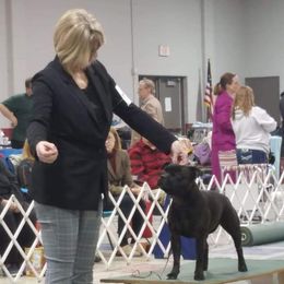 Staffordshire Bull Terriers from Freystaff Staffordshire Bull Terriers