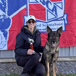 Nero - German Shepherd