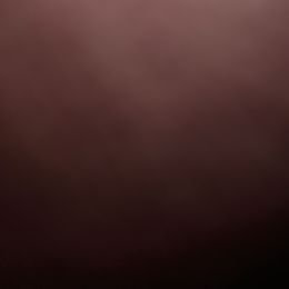 Diamonte - White blue merle and tan male Shetland Sheepdog puppy in Minnesota from Sheltie Puppies