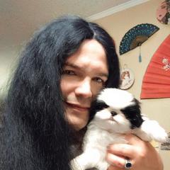 Japanese Chin Puppies from Mystike Japanese Chin