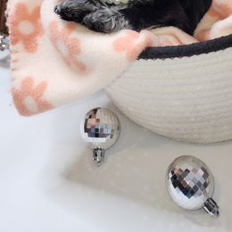 Shih Tzu Puppies from AZSHIHTZCREW