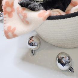 Shih Tzu Puppies from AZSHIHTZCREW