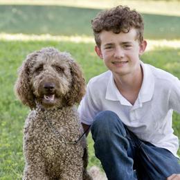 Oakley - Labradoodle