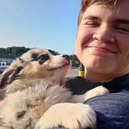 Australian Shepherd Puppies from Dollface Aussies