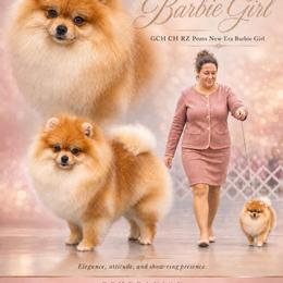 Barbie - Pomeranian