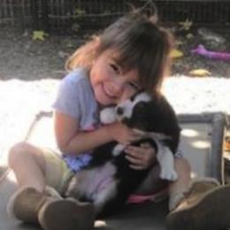 Miniature American Shepherd Puppies from Too Mini Aussies/ Miniature American Shepherds