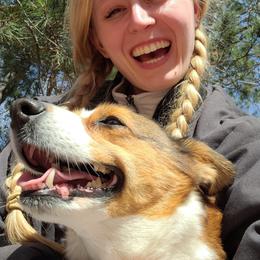 Pembroke Welsh Corgis from Up North Corgis