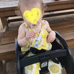 Toy Australian Shepherd All Grown Up from The Ranch of the Sun Toy Aussies