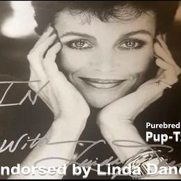 Shih Tzu Puppies from Pup-Tzu WNC