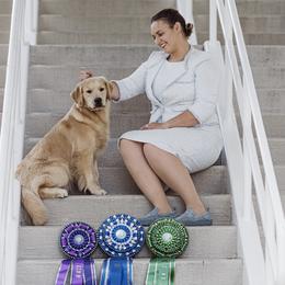 Golden Retrievers from Winstone Goldens