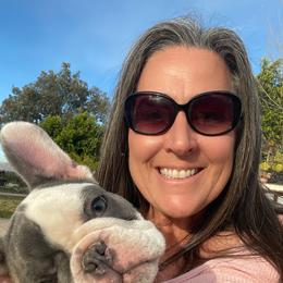 French Bulldog Puppies from Queenbeebullies