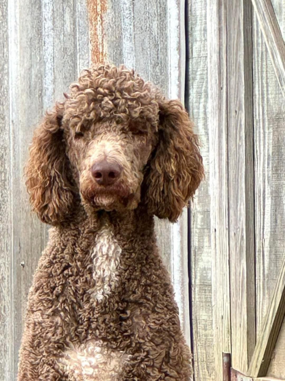 Charlie