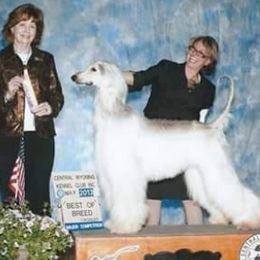 Afghan Hounds and Tibetan Terriers from Jen Trinque's Afghan Hounds and Tibetan Terriers