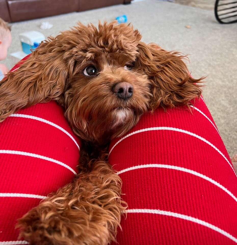 Maggie
