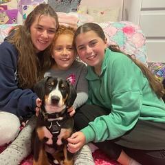 Entlebucher Mountain Dog Puppies from Feather Farm's Entles