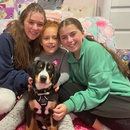 Entlebucher Mountain Dog Puppies from Feather Farm's Entles