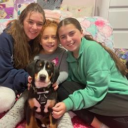 Entlebucher Mountain Dog Puppies from Feather Farm's Entles