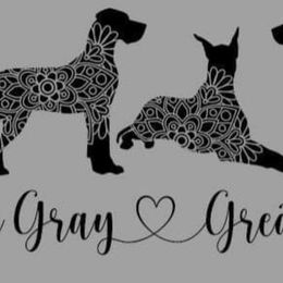 Australian Shepherds and Great Danes from Red Cloud Australian Shepherds and DeGray Great Danes & Bulldogs