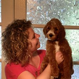 Goldendoodle Puppies from Two Ps in a Pod