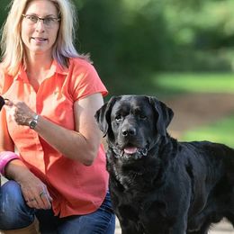 Labrador Retrievers from Clearwater Labradors