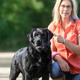 Labrador Retrievers from Clearwater Labradors