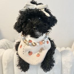 Pink Collar - Black female Goldendoodle puppy in Gilbert, Arizona from Desert Paws Doodles