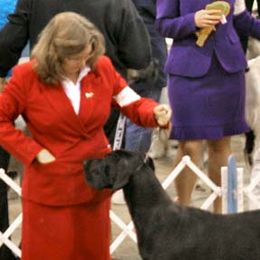 Great Danes from Sandy Mauck's Great Danes