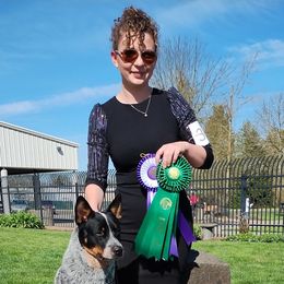 Gouda - Australian Cattle Dog