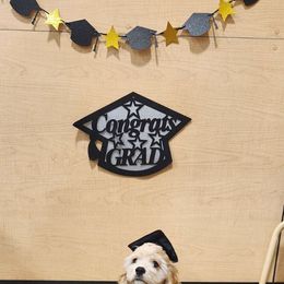 Cocker Spaniel Puppies from Gates Cocker Spaniels