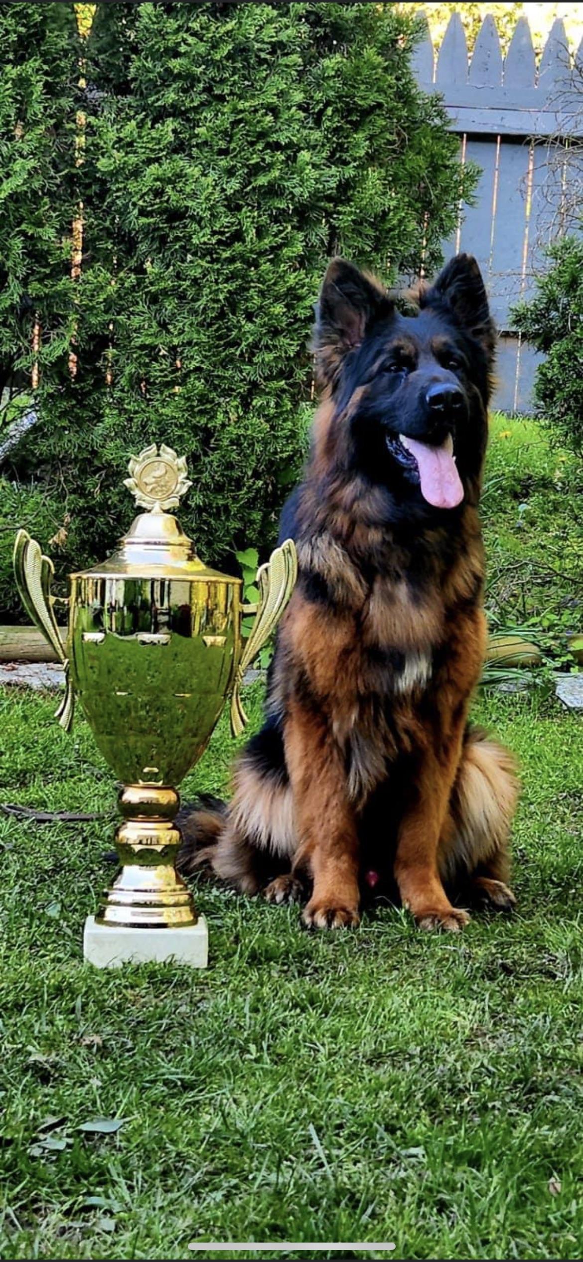 Atlas