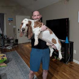 Hank - Lemon and white male Basset Hound puppy in Nicholasville, Kentucky from The Clumsy Kentucky Bassets