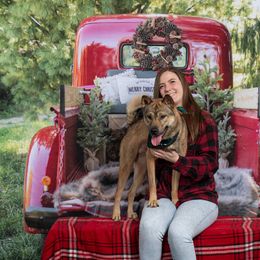 Kishu Ken All Grown Up from Ourou Sou